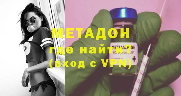 прущие грибы Кулебаки