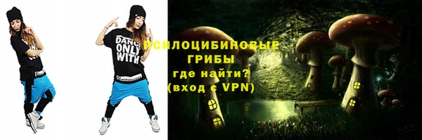 прущие грибы Кулебаки