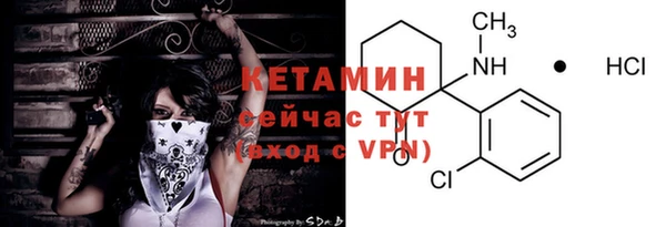 молекула духа Ладушкин