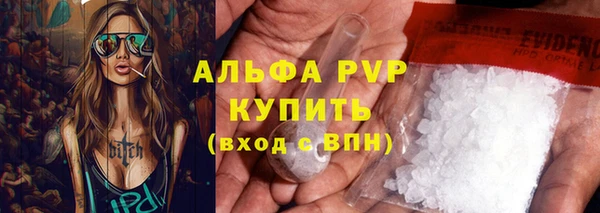 молекула духа Ладушкин