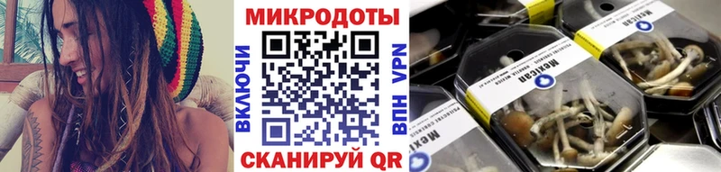 Псилоцибиновые грибы Psilocybe  ссылка на мегу ссылка  Сибай 