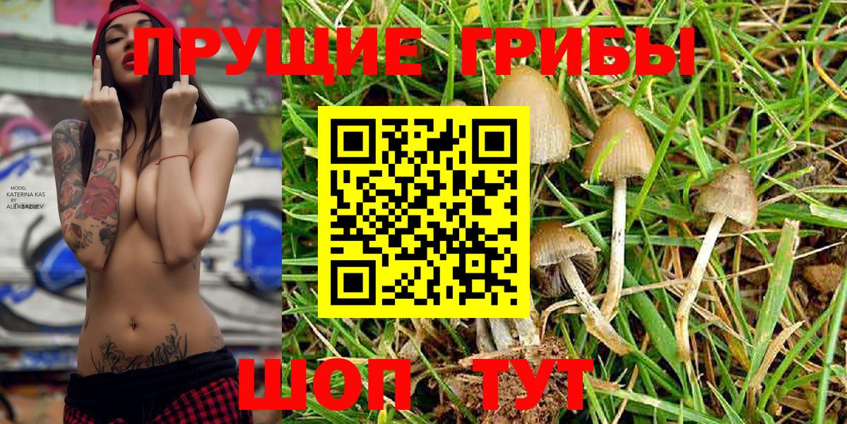 Псилоцибиновые грибы MAGIC MUSHROOMS Сибай