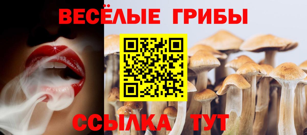 Сибай  Галлюциногенные грибы прущие грибы  Вход с VPN 